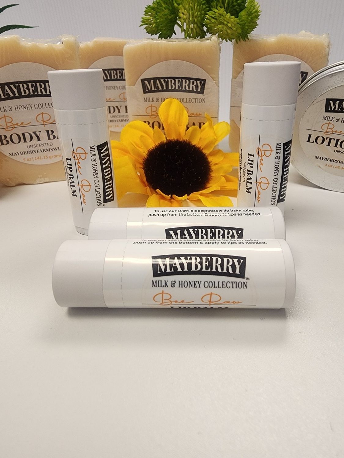 Honey and Tallow Lip Balm Unscented (Bee Raw)