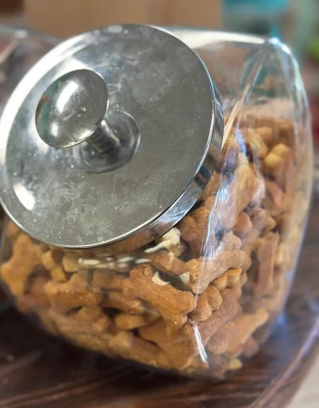 Dog Days Barkery Bones (3.5oz)- Pumpkin Swirl