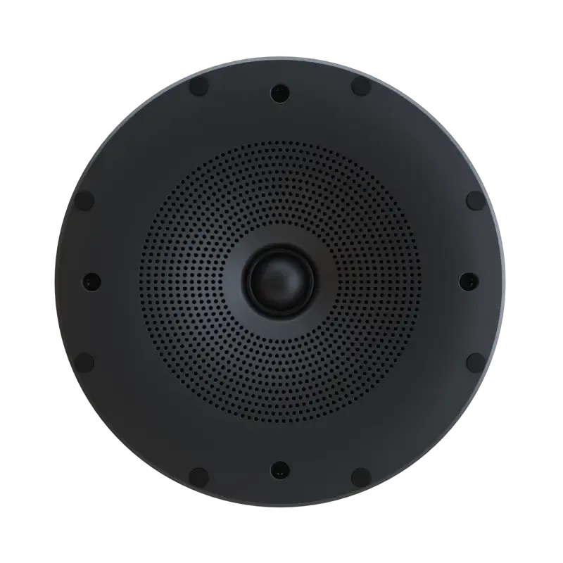 Perlisten Audio X2ic Speaker