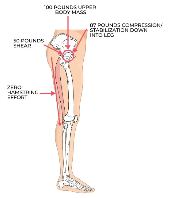 Good posture