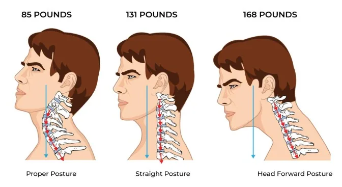 Neck joint force comparison with different postures