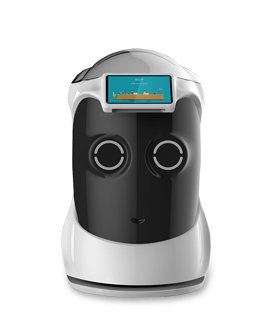 Hospitality Robot