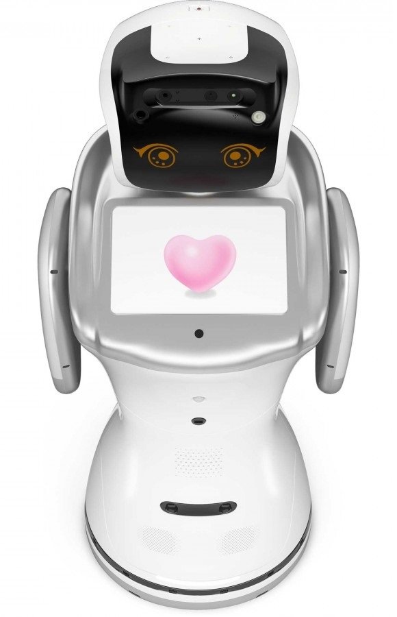 Home Robot