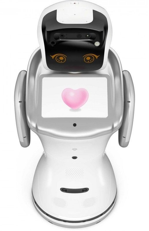 Home Robot