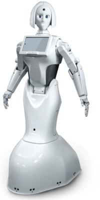 INNO Interactive Promo Robot Rental (Price is for daily Rent)