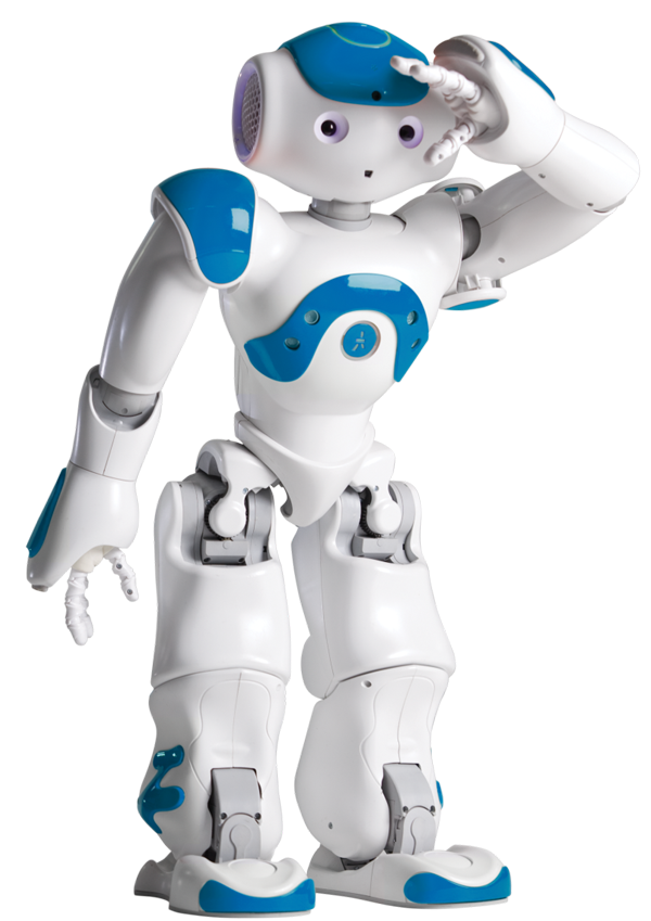 nao robot v6