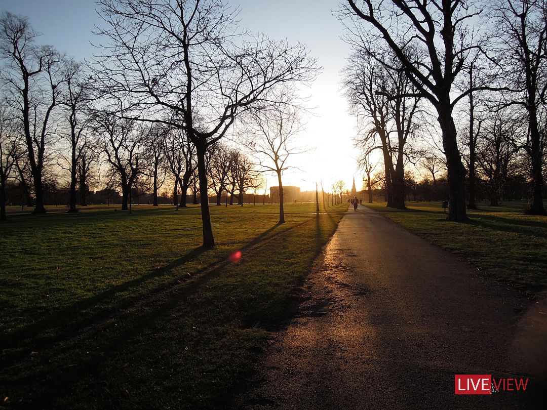 hyde park