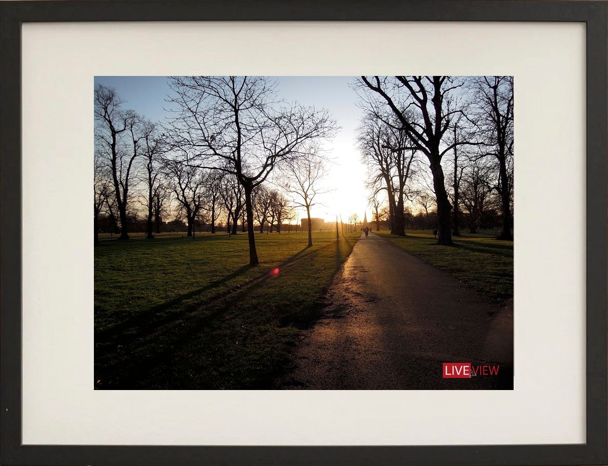 hyde park