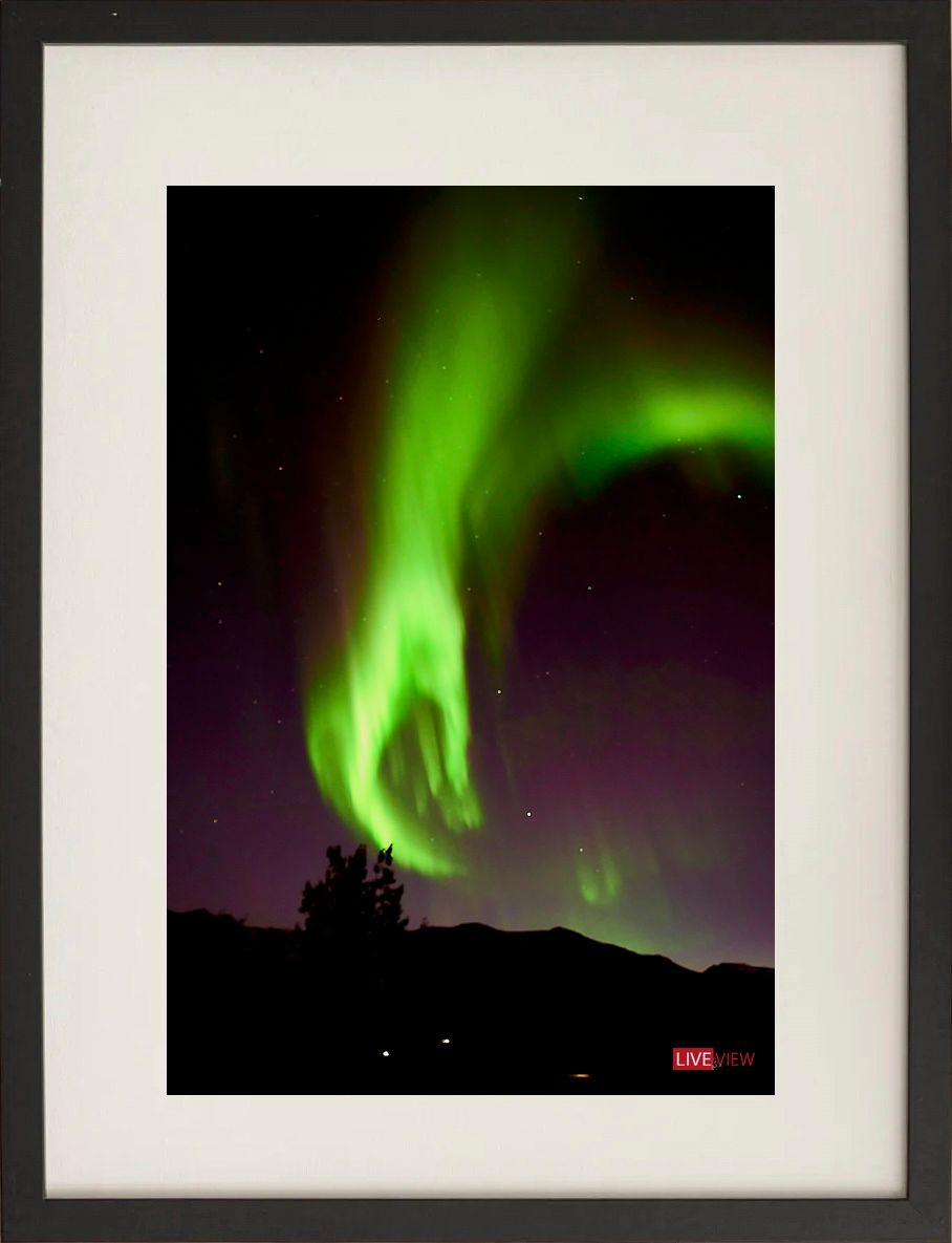 la mano di &quot;aurora&quot;