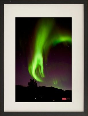 la mano di &quot;aurora&quot;