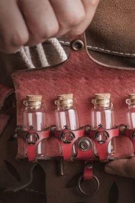 "Premium" Potions Holder