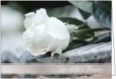 Trauerkarte Rose