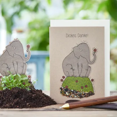 Dickes Danke - Mit Saatstecker: Eine feste, mit Saatgut bestückte Pappe. Wird mit Saatgut voran in die Erde gesteckt