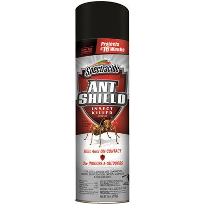 Spectracide Ant Shield 15 oz. Aerosol Insect Killer