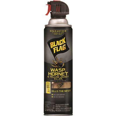 BLACK FLAG® WASP &amp; HORNET KILLER, AEROSOL