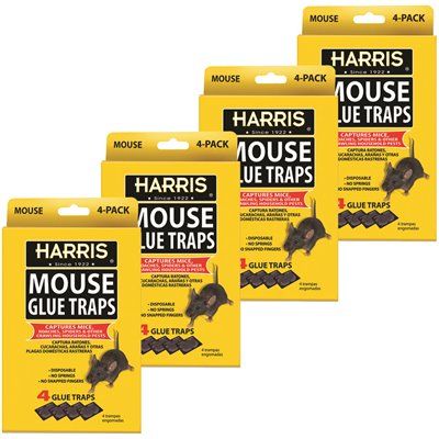 FD.Harris Mouse Glue Traps (4-Pack)
