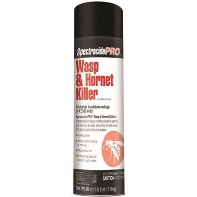 SPECTRACIDE® PRO WASP AND HORNET KILLER, 18 OZ.