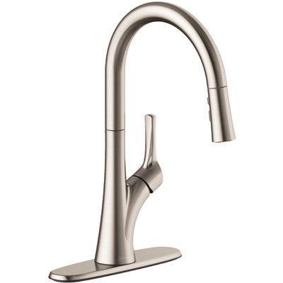 Seasons Westwind Single-Handle Pull-Down Sprayer Kitchen Faucet in Stainless Steel