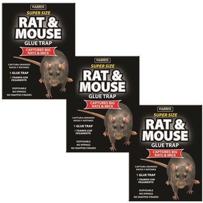 FD.Harris Rat and Mouse Glue Trap Super-Size with Lure (3-Pack)
