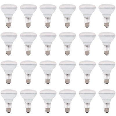Sylvania 65-Watt BR30 Flood and Spot Incandescent Light Bulb (24-Pack)