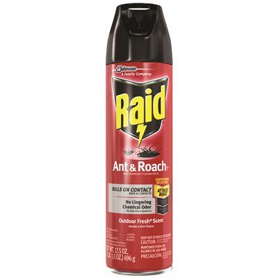 RAID ANT &amp; ROACH SPRAY 17.5OZ