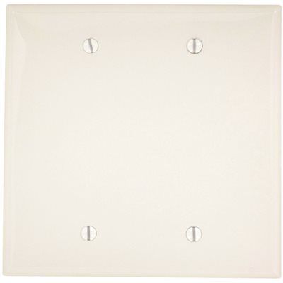 Leviton White 2-Gang Blank Plate Wall Plate (1-Pack)