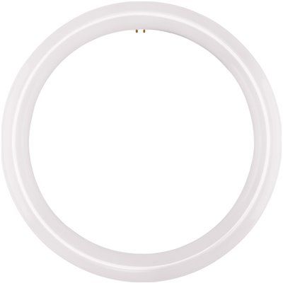 Satco 100-Watt Equivalent T9 4-Pin Base Circline LED Light Bulb, Daylight