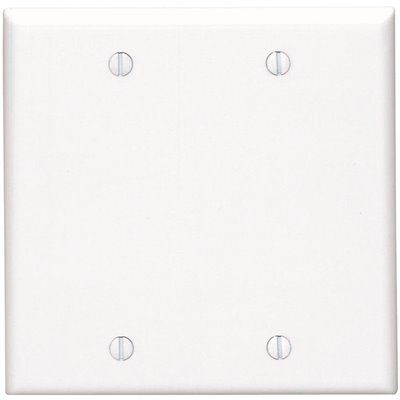 Two Gang Blank Wall Plate