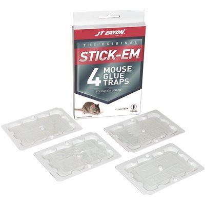 MOUSE GLUE TRAP