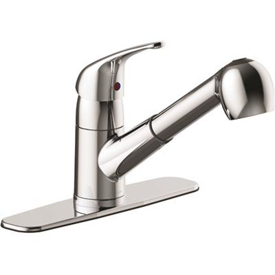Seasons Raleigh Single-Handle Pull-Out Sprayer Kitchen Faucet in Chrome