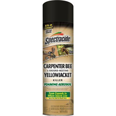 Spectracide 16 oz. Aerosol Carpenter Bee and Ground-Nesting Yellow jacket Killer Foam