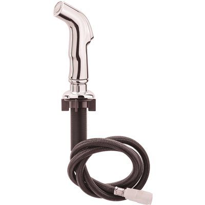 PROPLUS® SIDE SPRAY ASSEMBLY, CHROME