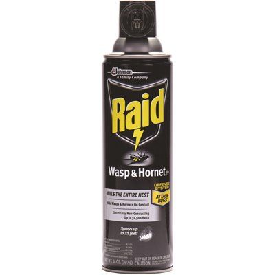 RAID WASP &amp; HORNET 14OZ