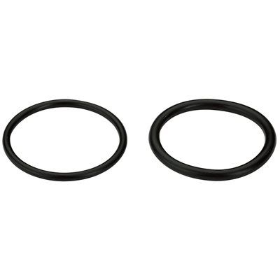 Delta Pair of O-Rings