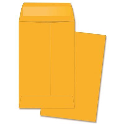 FD.Business Source #1 2-1/4 in. x 3-1/2 in. Coin Envelopes