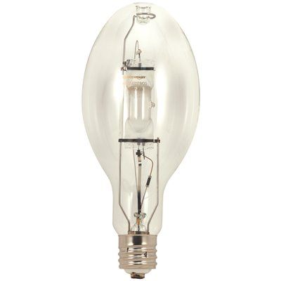 Metal Halide 175W Mogul Base