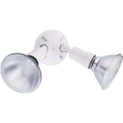 Lithonia Lighting 2-Lamp Outdoor White Flood Light