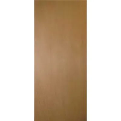 Masonite 30 in. x 80 in. Smooth Flush Hollow Core Lauan Wood Composite Interior Door Slab