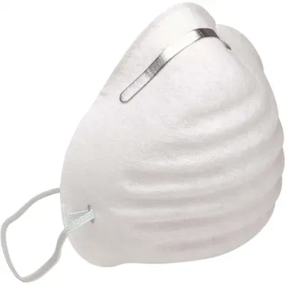 Sas Safety Disposable Dust Filter Comfort Mask Package Of 50