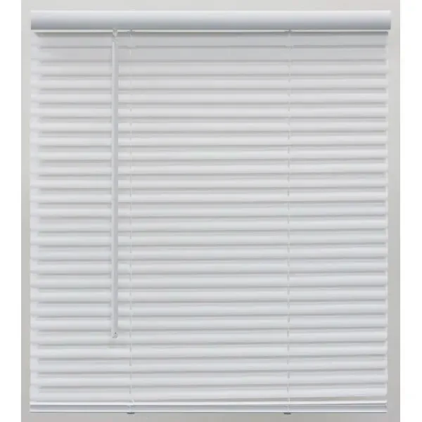 Champion 1 In. Vinyl 18 In. X 72 In. Light Filtering Blind, White