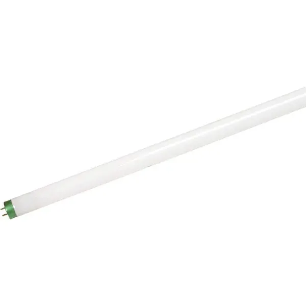 Sylvania 32- -Watt 4 ft. Linear T8 Fluorescent Tube Light Bulb Daylight (30-Pack)