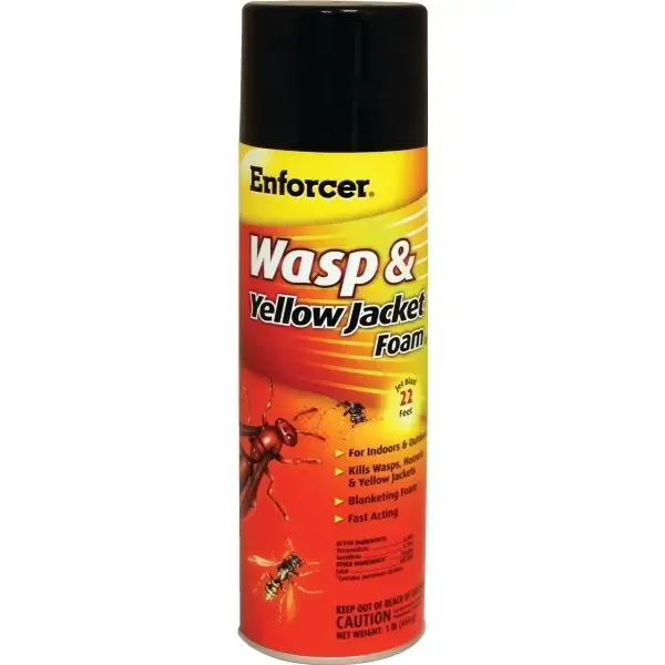 USE 3557094.SPECTRACIDE WASP AND HORNET KILLER 20 OUNCES