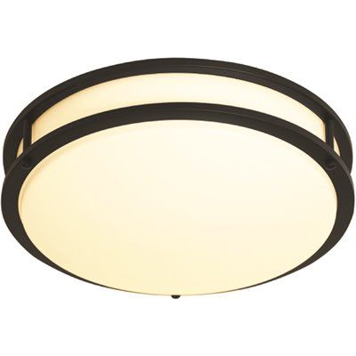 Cordelia Lighting 14 In. Outdoor Ceiling Light (Matte Black)