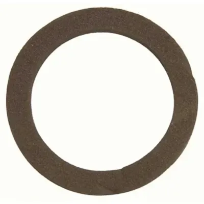 Sioux Chief 3-3/8 in. No Putty Sink Gasket