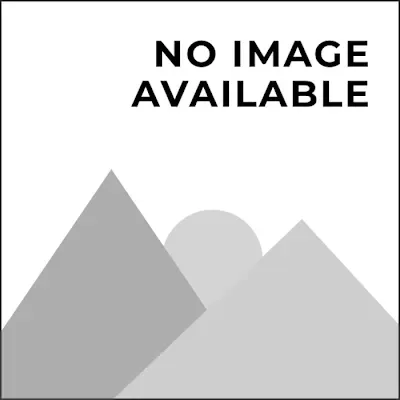 Seasons Kitchen Faucet 1.8 Gpm Spray Assembly Chrome