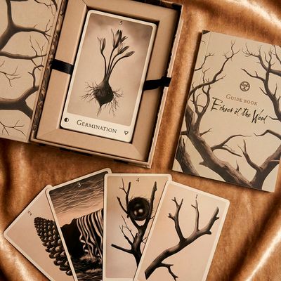 Echoes of the Wood Oracle Deck