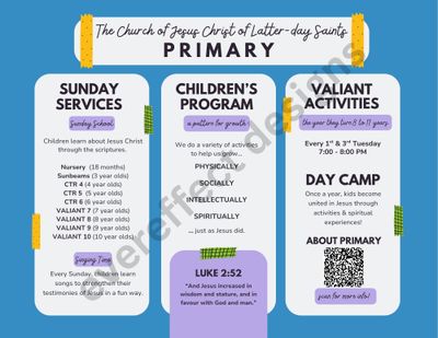 About Primary Flyer