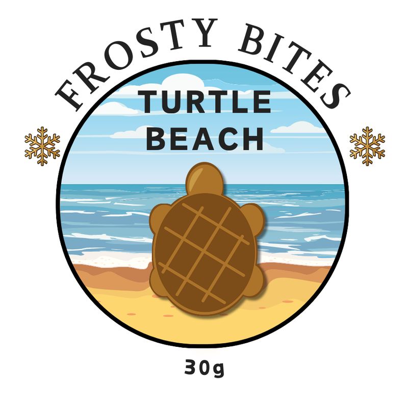 Turtle Beach