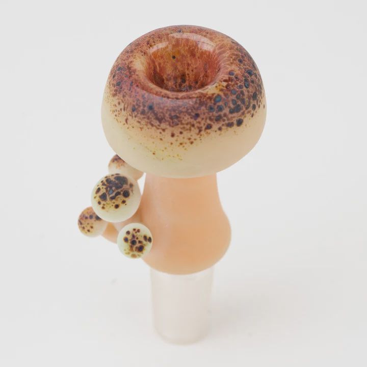 Mushroom Bowl by Empire Glassworks