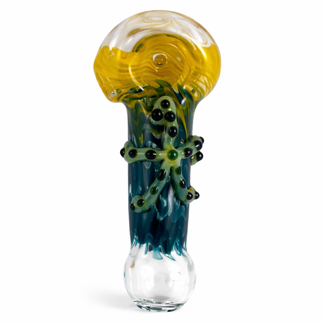 4" Tropic of Capricorn - Starfish